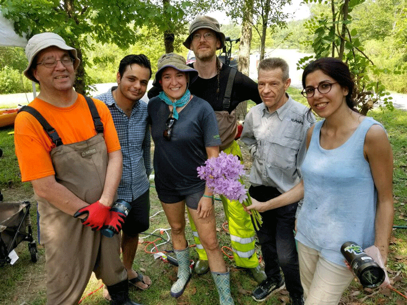 Cleaup With Alireza Payandeh