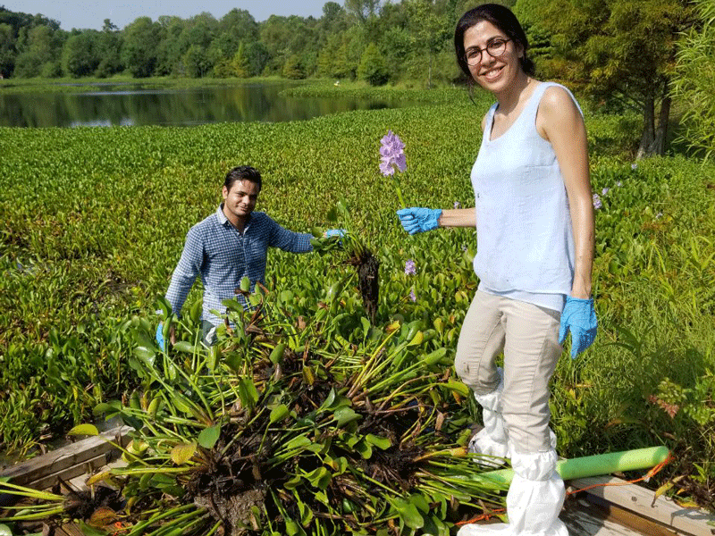 علیرضا پاینده